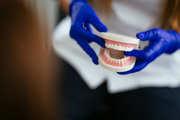 Professional Dental Services in Sunny Isles Beach, FL